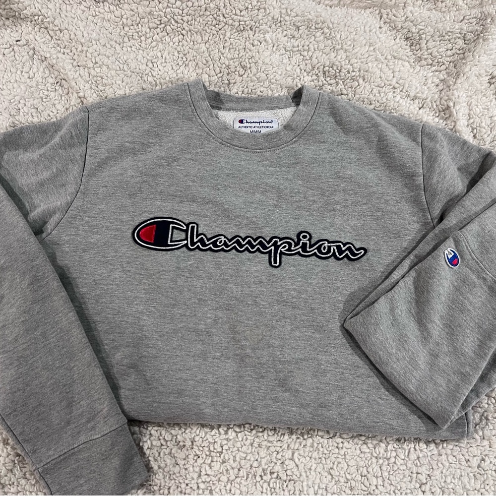 Champion Authentic Athletic Sweatshirt Men Medium M Long Sleeve Embroidered Gray